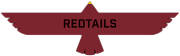 Nettingham MS logo